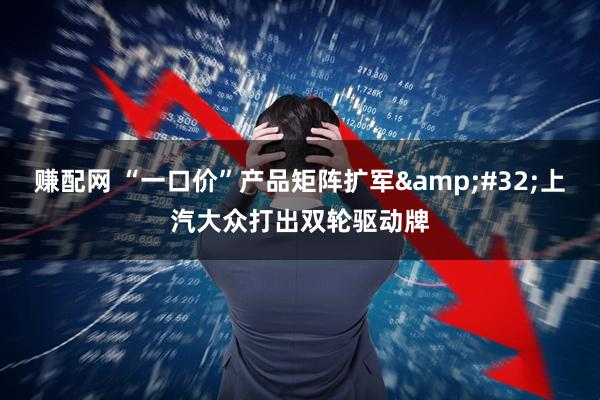 赚配网 “一口价”产品矩阵扩军&#32;上汽大众打出双轮驱动牌