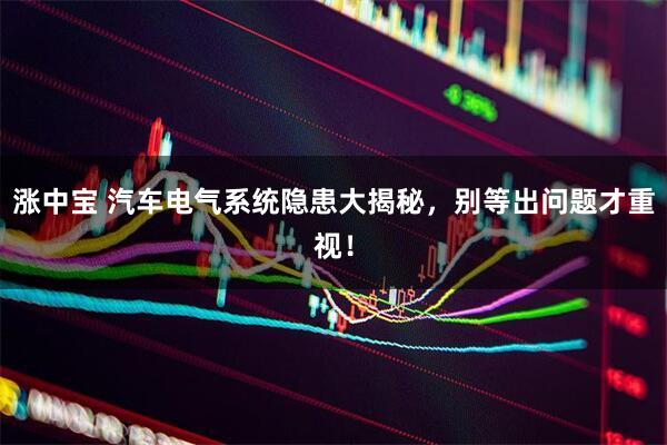 涨中宝 汽车电气系统隐患大揭秘，别等出问题才重视！