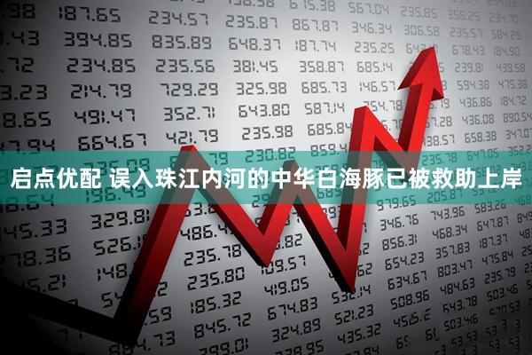 启点优配 误入珠江内河的中华白海豚已被救助上岸