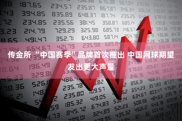 传金所 “中国赛季”品牌首次推出 中国网球期望发出更大声量