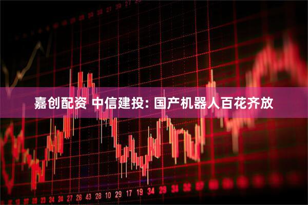 嘉创配资 中信建投: 国产机器人百花齐放