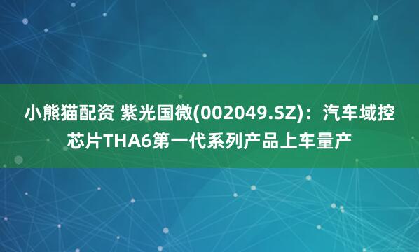 小熊猫配资 紫光国微(002049.SZ)：汽车域控芯片THA6第一代系列产品上车量产