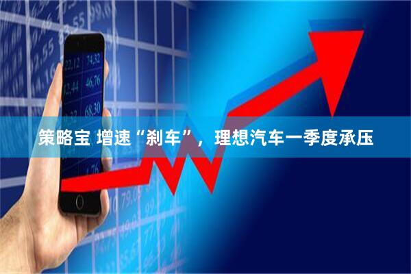 策略宝 增速“刹车”，理想汽车一季度承压